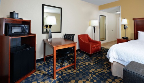 Room, 1 King Bed