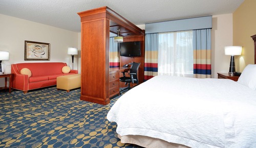 Studio, 1 King Bed, Accessible (Mobility & Hearing, Roll-in Shower)