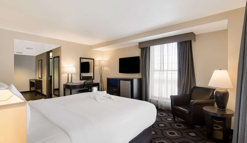 Room, 1 King Bed, Non Smoking