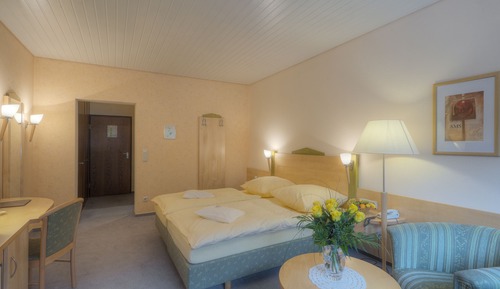 Standard Single Room (Forest View)