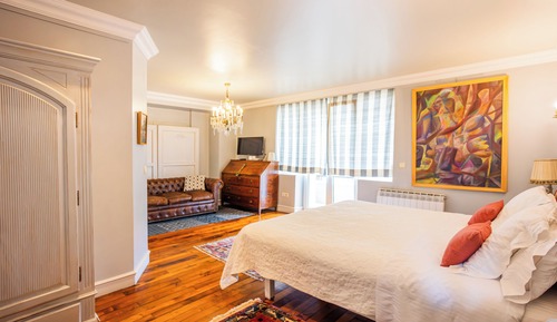 Premium Double Room, 1 King Bed (2 people)