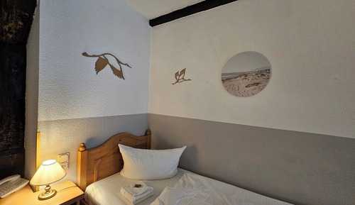 Basic Single Room