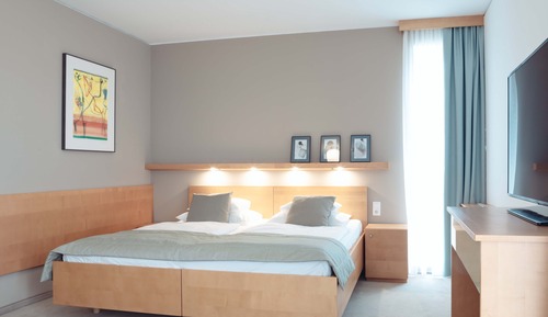 Superior Double Room (Panorama)