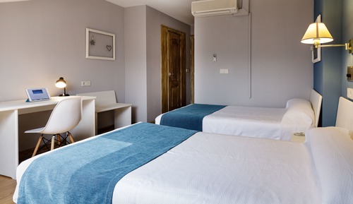Basic Twin Room