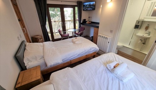 Standard Twin Room, Mountain View