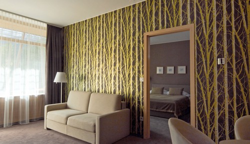 Suite, Mountain View, Balcony