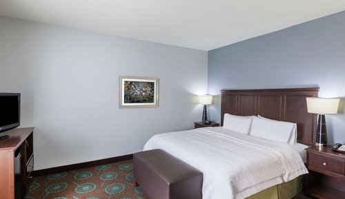 Room, 1 King Bed (Shower Only)