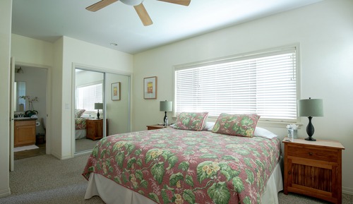 Plumeria Suite
