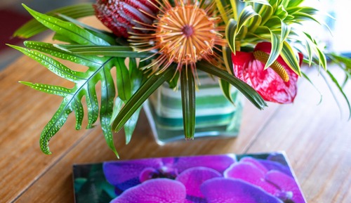 Orchid Suite