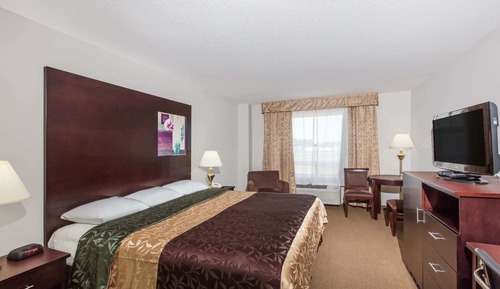 Standard Room, 1 King Bed