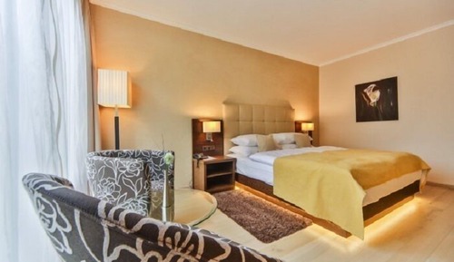 Business Double Room Single Use, 1 Bedroom, Allergy Friendly