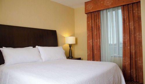 Suite, 1 King Bed, Accessible, Bathtub (Mobility & Hearing)