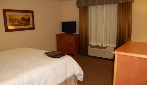 Room, 1 King Bed