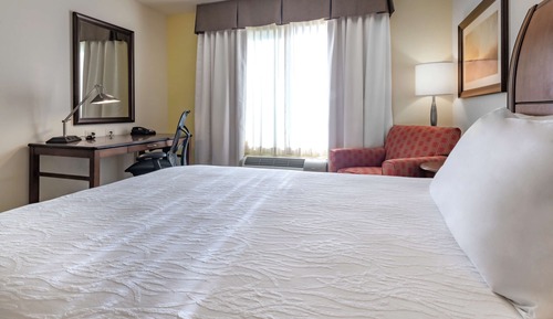 Room, 1 King Bed