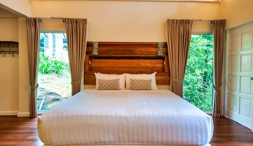 Nepenthes Suite King