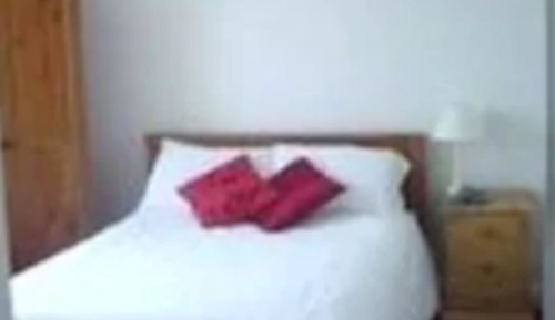 Comfort Single Room