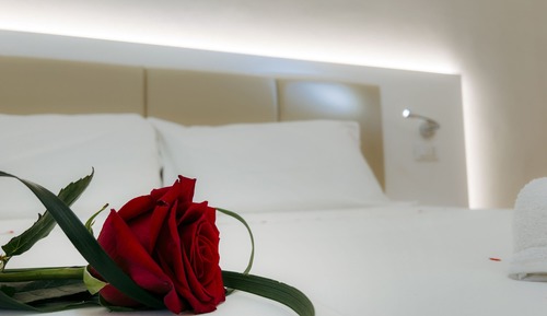 Basic Single Room, 1 Large Twin Bed