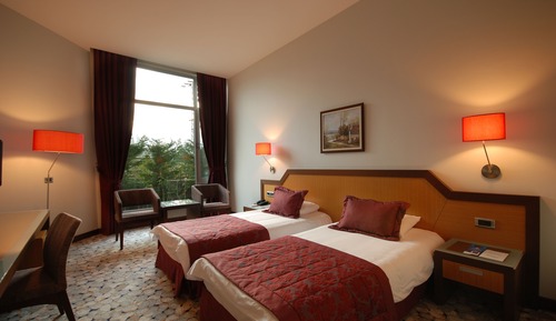 Standard Double or Twin Room, Lanai, Sea View