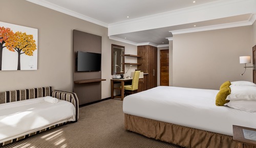Family Room, 1 King Bed with Sofa bed