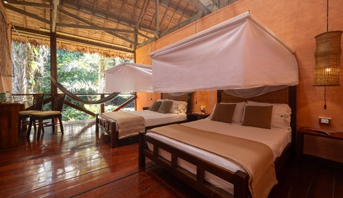  Rainforest Comfort Twin Room 