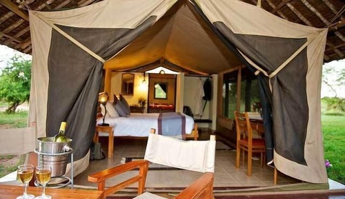 Tent
