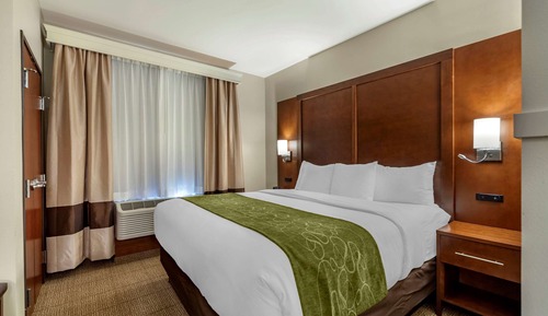 Standard Single Room, 1 King Bed with Sofa bed, Non Smoking