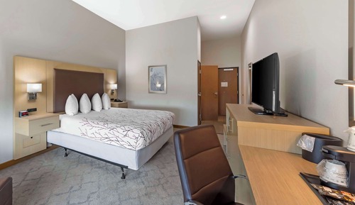 Standard Room, 1 King Bed, Accessible, Refrigerator & Microwave