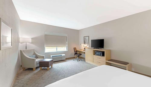 Standard Room, 1 King Bed, Non Smoking, Refrigerator & Microwave