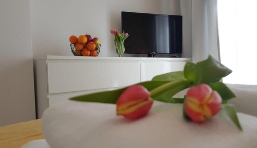 Standard Apartment