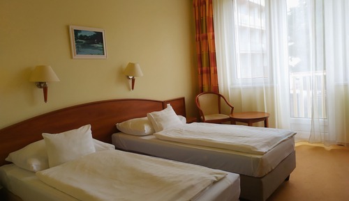 Classic Twin Room