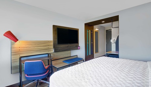 Room, 1 King Bed