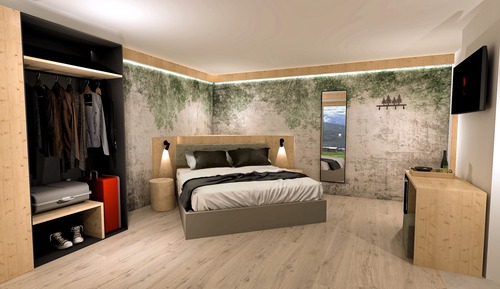 Deluxe Double or Twin Room