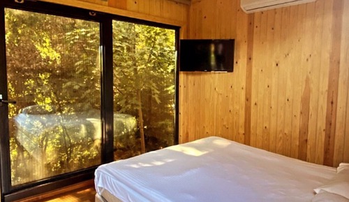 Standard Studio, 1 Bedroom
