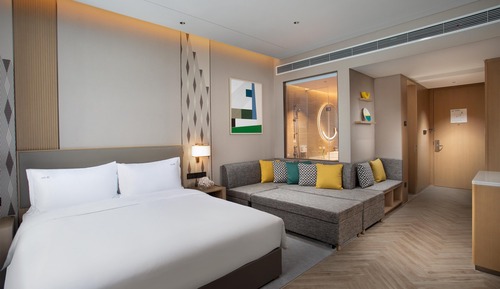 Standard Room, 1 King Bed with Sofa bed