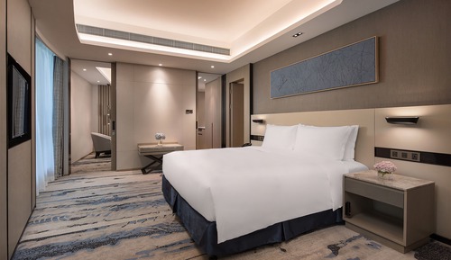 1 King Bed 1 Bedroom Suite Living Area