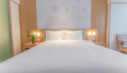 Suite, 1 Bedroom