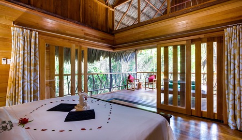 Premier Tree House