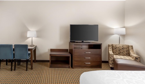 Standard Room, 1 King Bed with Sofa bed, Non Smoking, Kitchenette (with Sofabed)