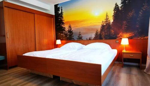 Superior Apartment, 1 Bedroom, Mountain View