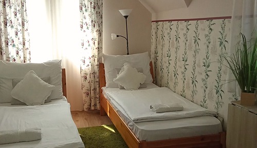 Basic Twin Room