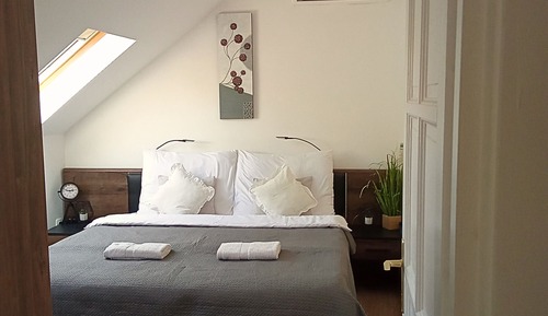 Standard Double or Twin Room (4)