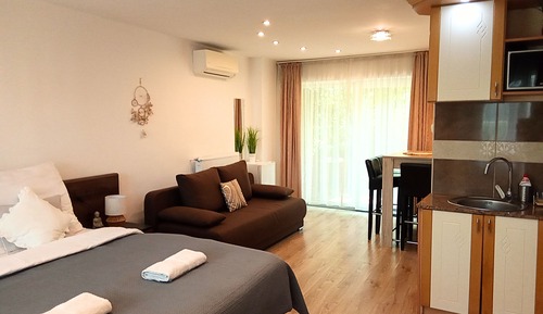 Family Studio (3)