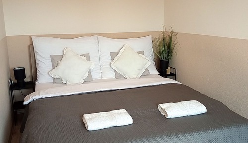 Standard Double or Twin Room (5)