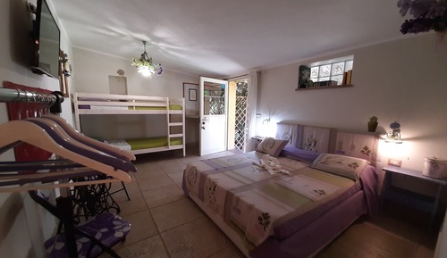 Comfort Quadruple Room