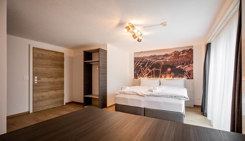 Deluxe Double or Twin Room, Multiple Beds