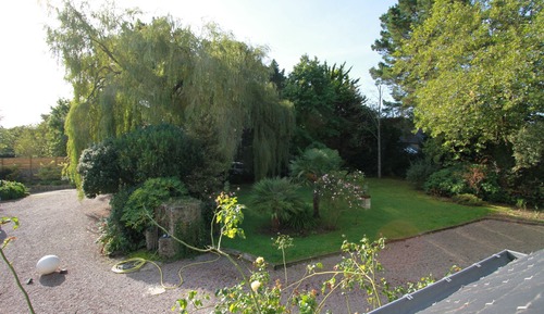 Double Room (Oiseaux)