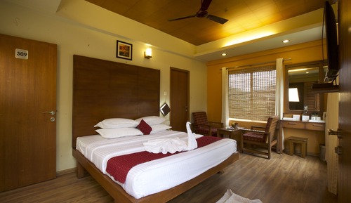 Standard Double Room, 1 King Bed