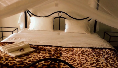 Double Room, Mountain View