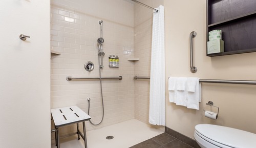 Studio Suite, 1 King Bed, Accessible (Mobility, Roll-In Shower)