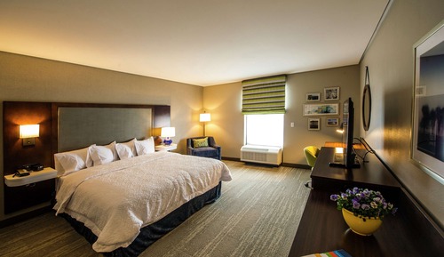 Room, 1 King Bed, Accessible, Bathtub